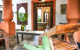 Jardin D'Ulysse & Hard Rock